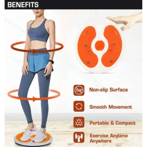 Disc fitness twister